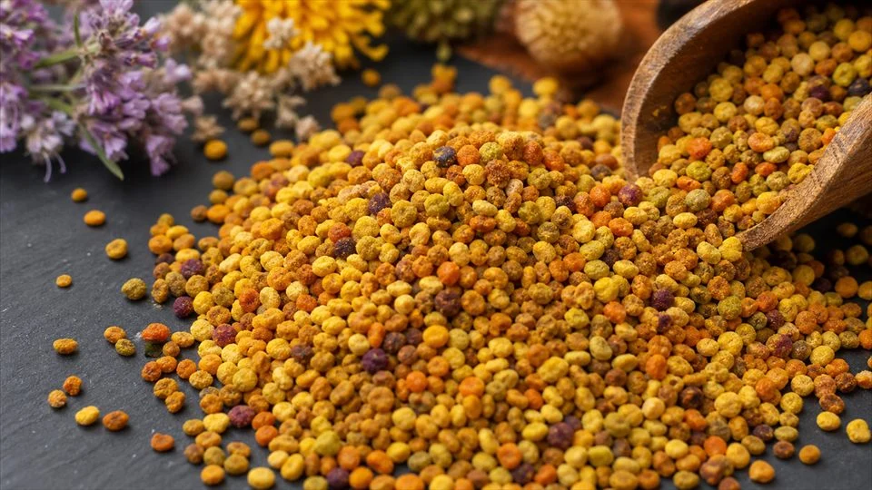 Illustration: each shade of pollen corresponds to a different floral species.